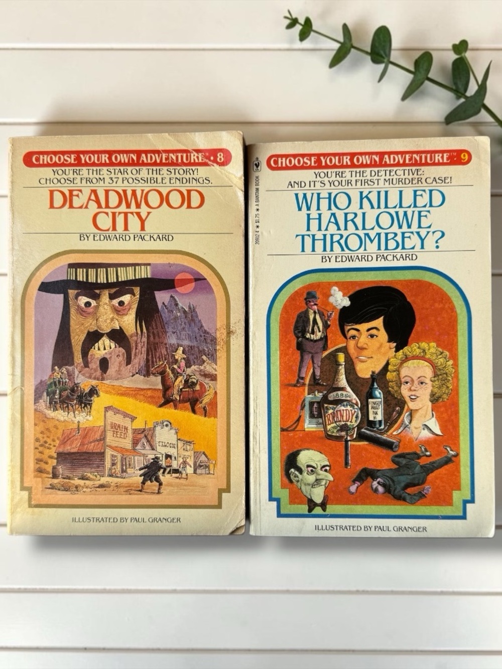 Vintage Choose Your Own Adventure Books #8 & #9 Edward Packard Lot of 2
